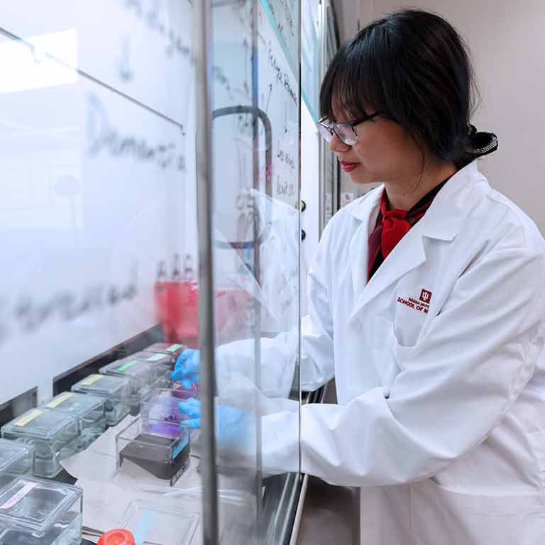 A female wearing a lab coat and gloves works with scientific containers in an opened glass case.